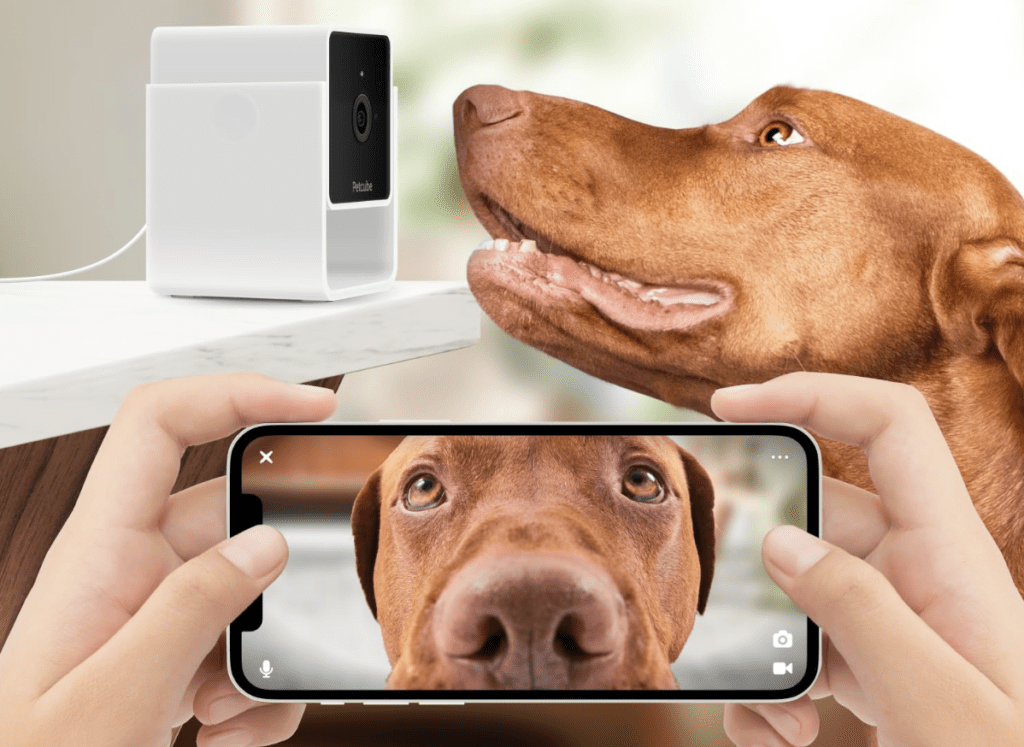 Petcube Play 2